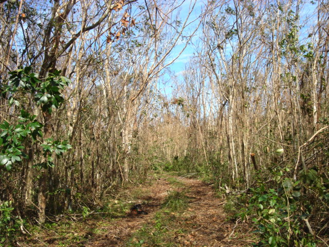 dsc00470.jpg